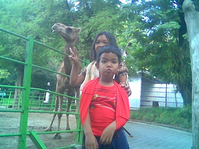 Bonbin bukan bonbinhood