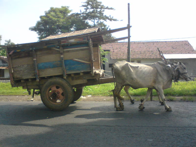 Yang Sekarang jarang dijumpai