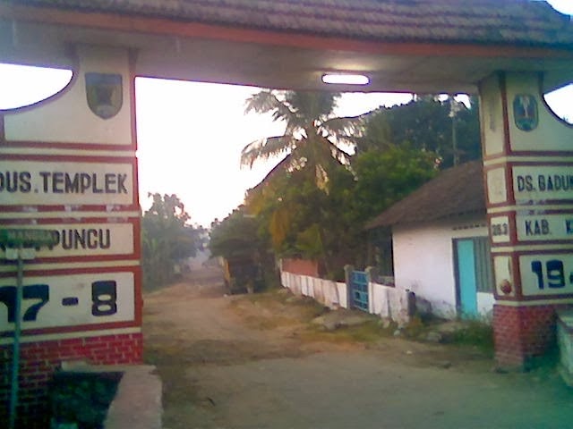 Pulang kampung