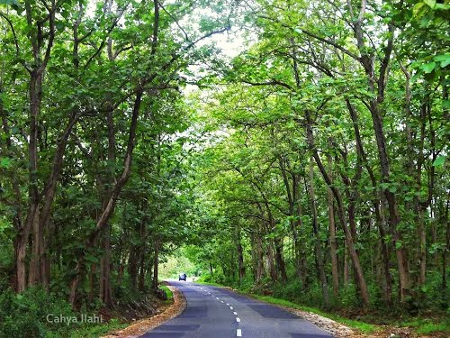 Featured Post Image - Perjalanan (Lorong Sepi)