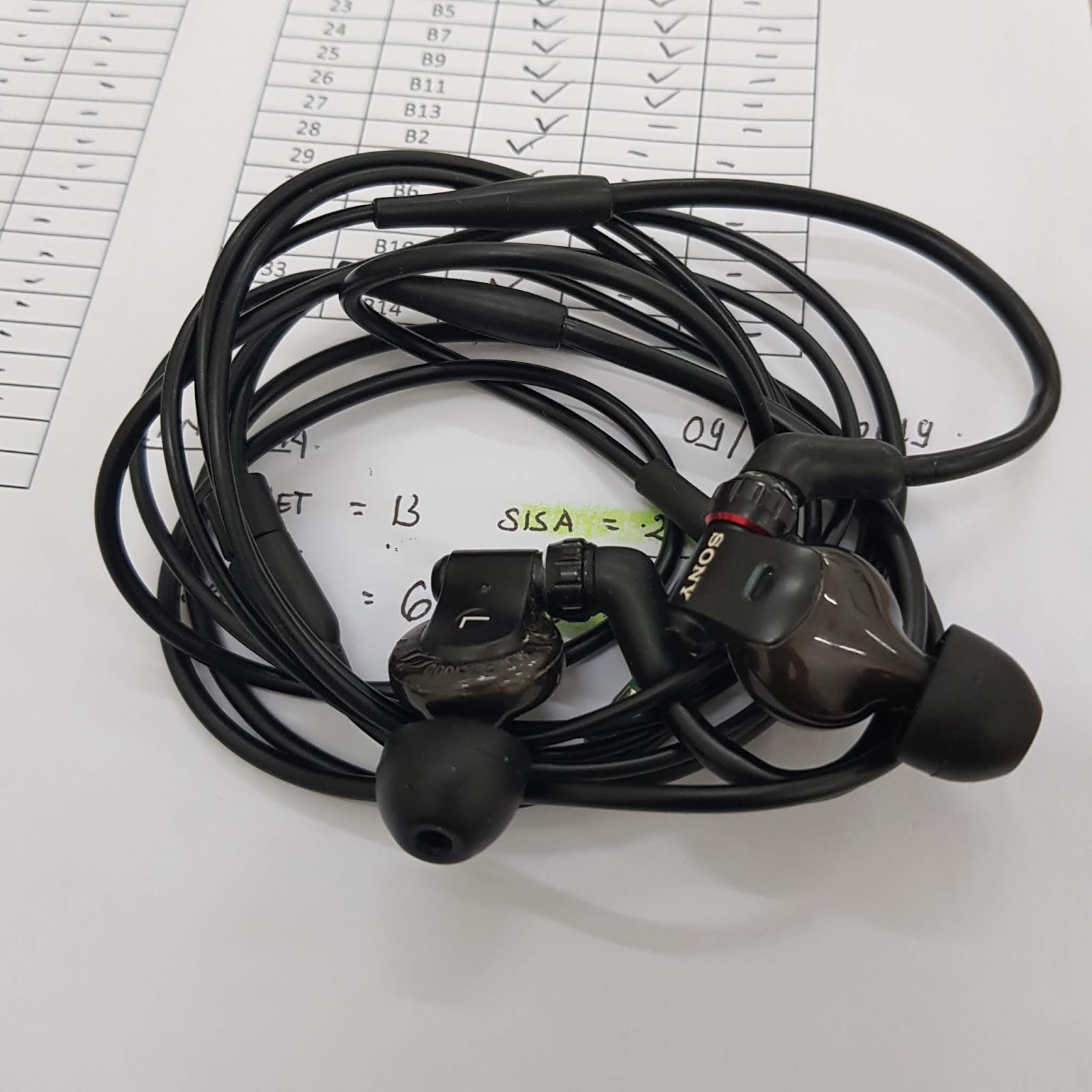 Review Sony MDR EX-1000