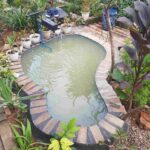kolam ikan sederhana