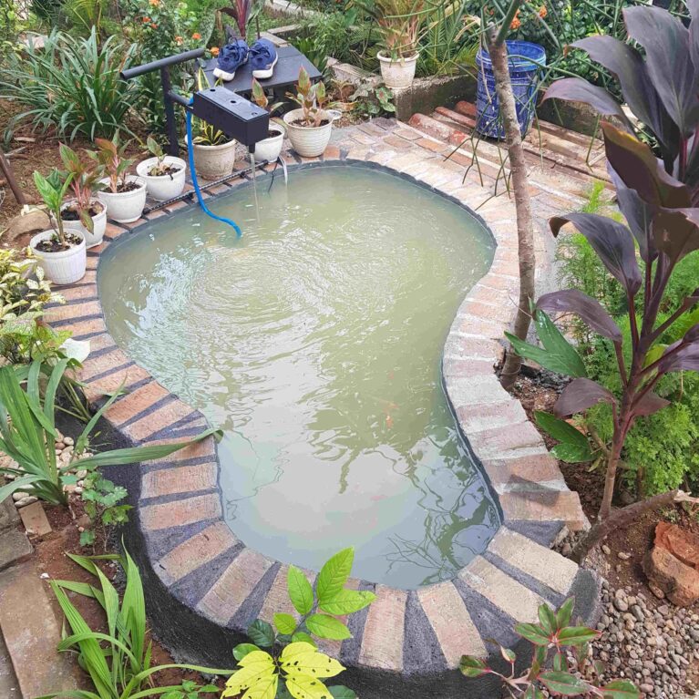 kolam ikan sederhana