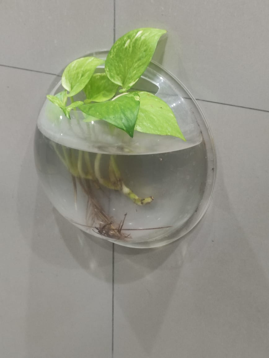 Kebahagian hari ini